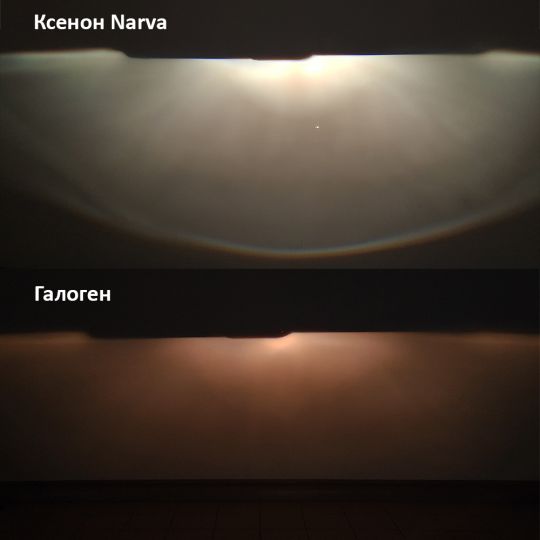 dop-narva-halo-01