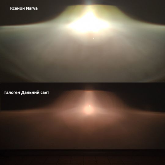 dop-narva-halo-02